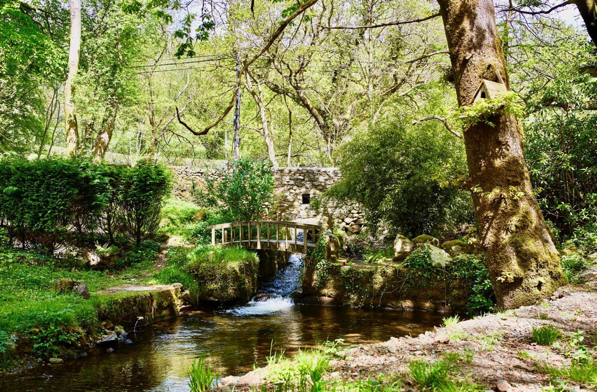 Afon Rhaiadr Country House Dolgellau Eksteriør bilde